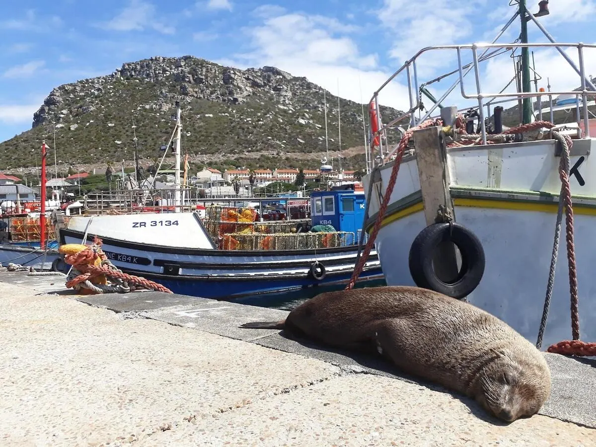Harbour View Woodbine Villa Kalk Bay 0*,  South Africa